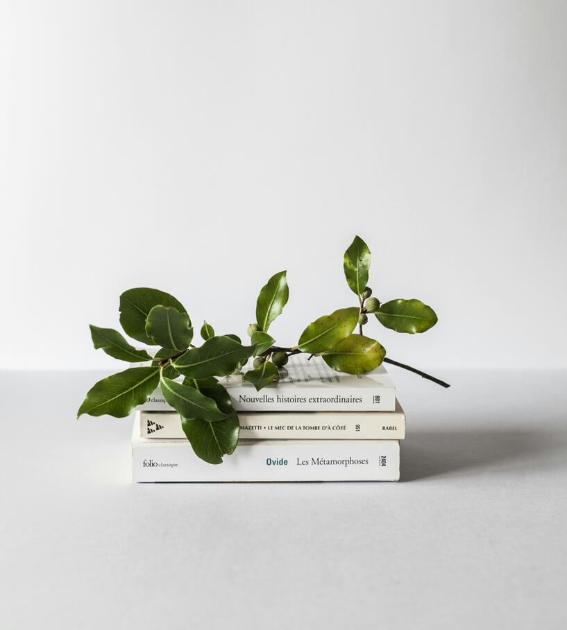 Three books stacked on top of each other with a piece of greenery sitting atop.